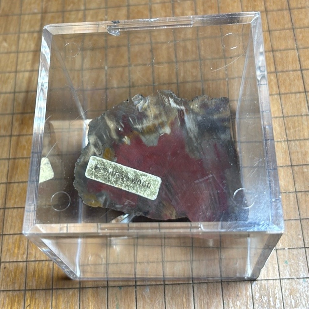 Petrified Wood Fossil 3”x2 1/8”x1 1/8” Natural Stone Clear Display Box 3 3/16”sq